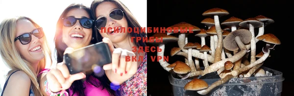 кристаллы Богородск
