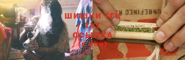 дживик Богородицк
