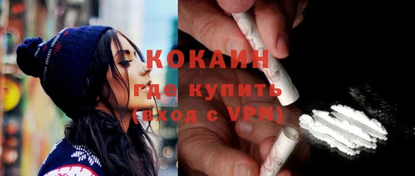 дживик Богородицк