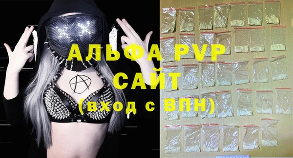 сатива Богданович