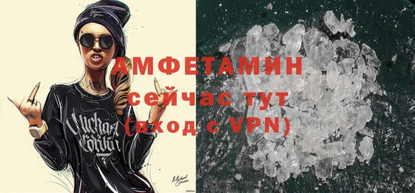 сатива Богданович