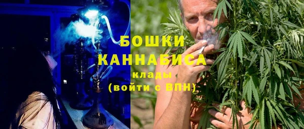 дживик Богородицк