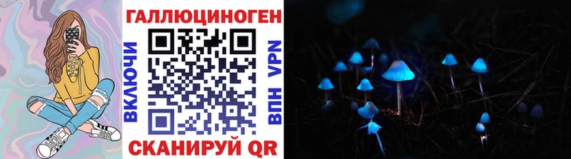 OMG как зайти  Ува  Псилоцибиновые грибы прущие грибы 